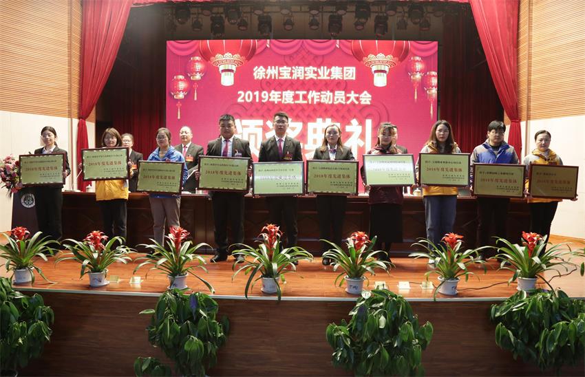 LD.COM2019年度工作动员大会---集团公司领导为先进单位和先进个人代表颁奖
