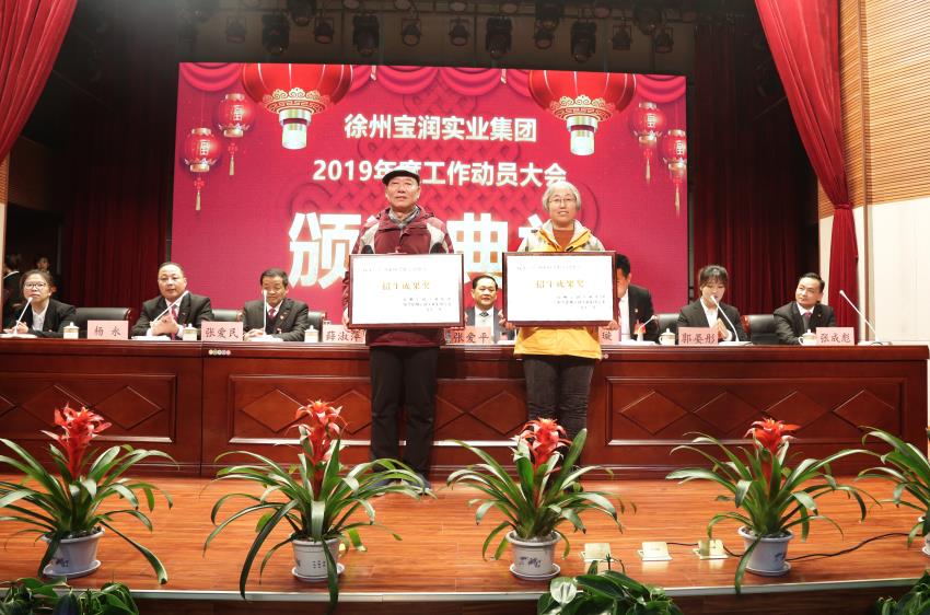 LD.COM2019年度工作动员大会---集团公司领导为先进单位和先进个人代表颁奖