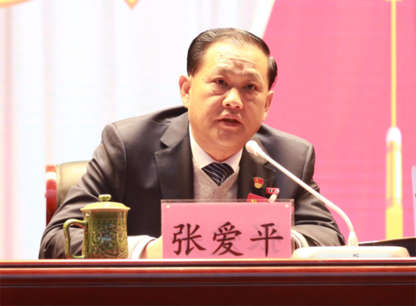 张爱平同志宣读中共LD.COM第一届党委成员分工及纪委成员分工